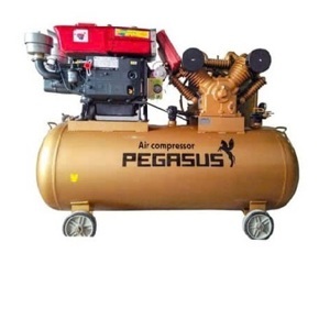 Máy nén khí chạy dầu diesel Pegasus TM-W-1.6/8-500L