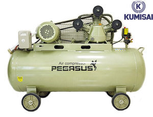 Máy nén khí Pegasus TM-V-0.36/8-230L