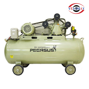 Máy nén khí Pegasus TM-V-0.36/8-230L