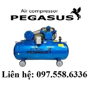 Máy nén khí dây đai pegasus KOKU TM-V-0.25-12.5-180L