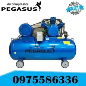 Máy nén khí dây đai Pegasus TM-W-1.6/12.5-330L-15HP