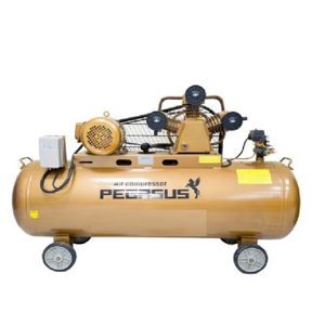 Máy nén khí dây đai Pegasus TM-W-1.6/12.5-500L (15HP)