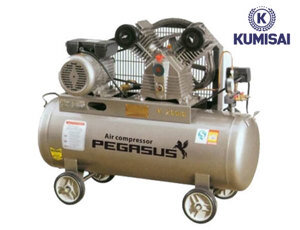 Máy nén khí dây đai Pegasus TM-W-1.6-10-500L