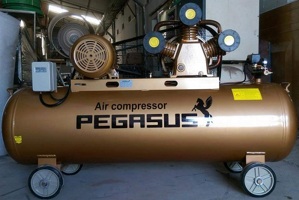 Máy nén khí dây đai Pegasus TM-W-0.67/12.5 - 500L