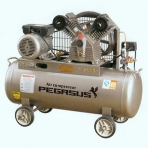 Máy nén khí dây đai Pegasus TM-W-1.6-10-500L