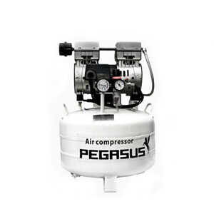 Máy nén khí không dầu Pegasus TM-OF750-40L