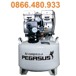 Máy nén khí không dầu Pegasus TM-OF750-40L