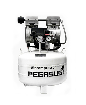 Máy nén khí không dầu Pegasus TM-OF750-50L