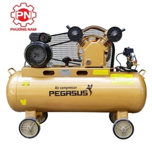 Máy nén khí Pegasus TM-V -0.12/8-70L