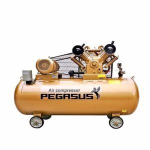 Máy nén khí Pegasus TM-V -0.12/8-70L