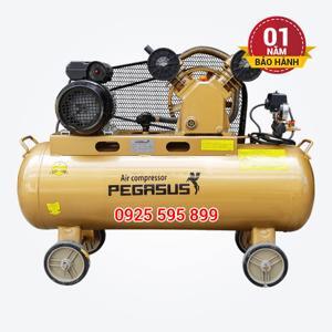 Máy nén khí Pegasus TM-V -0.12/8-70L