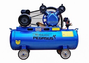 Máy nén khí Pegasus TM-V-0.17/8-180L (2HP)