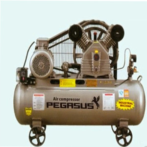 Máy nén khí Pegasus TM-V-0.17/8-120L - 2HP