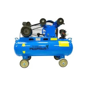 Máy nén khí Pegasus TM-V-0.17/8-120L - 2HP