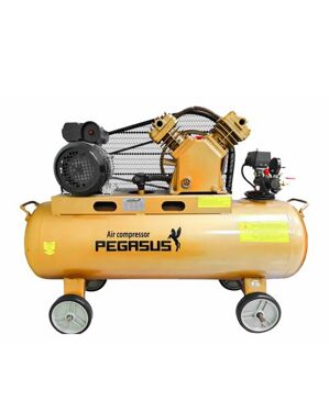 Máy nén khí Pegasus TM-V-0.17/8-180L (2HP)