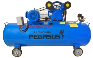 Máy nén khí Pegasus TM-V-0.25/8 - 120L