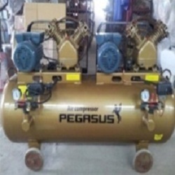 Máy nén khí Pegasus TM-V-0.25/8x2-230L