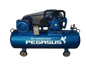 Máy nén khí Pegasus TM-V-0.36/8-330L