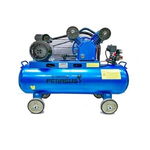 Máy nén khí Pegasus TM- V -0.6/8 -330L