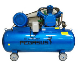 Máy nén khí Pegasus TM-W-0.36/12.5 - 120L