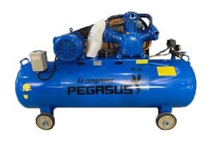 Máy nén khí Pegasus TM-W-0.9/8-330L