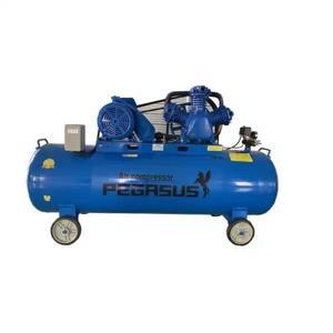 Máy nén khí Pegasus TM-W-0.9/8-330L