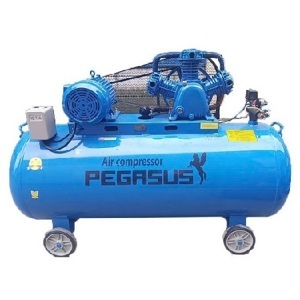 Máy nén khí Pegasus TM-W-1.0/8-500L