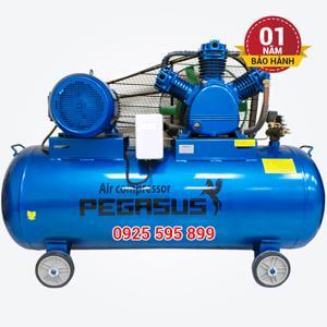 Máy nén khí PEGASUS TM-W-2.0/12.5-500L (20HP)