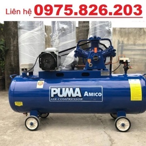 Máy nén khí Puma Amico W-0.36/8 120L