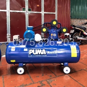 Máy nén khí Puma Amico W-0.36/8 200L