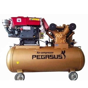 Máy nén khí sử dụng dầu diesel Pegasus TM-W-1.6/12.5-330L-15HP (Đầu nổ D24)