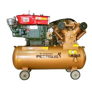 Máy nén khí sử dụng dầu diesel Pegasus TM-W-1.6/12.5-330L-15HP (Đầu nổ D24)