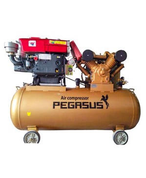 Máy nén khí sử dụng dầu diesel Pegasus TM-W-1.6/12.5-330L-15HP (Đầu nổ D24)