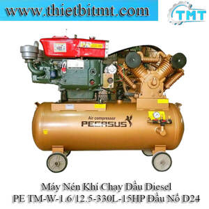 Máy nén khí sử dụng dầu diesel Pegasus TM-W-1.6/12.5-330L-15HP (Đầu nổ D24)