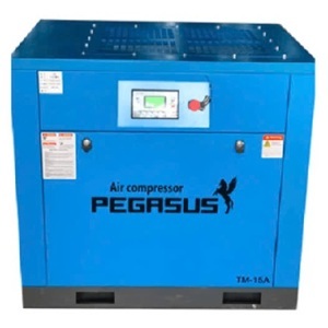 Máy nén khí trục vít biến tần Pegasus TMBT175A