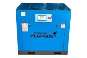 Máy nén khí trục vít biến tần Pegasus TMBT150A