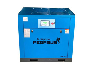 Máy nén khí trục vít biến tần Pegasus TMBT20A