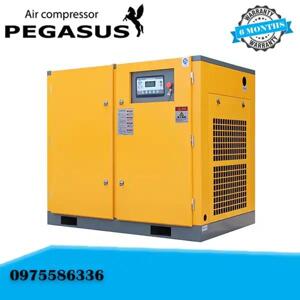 Máy nén khí trục vít biến tần Pegasus TMBT175A