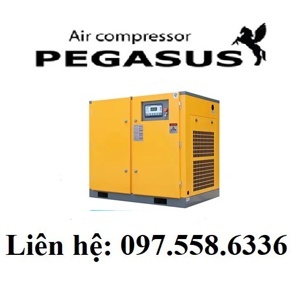 Máy nén khí trục vít biến tần Pegasus TMBT50A