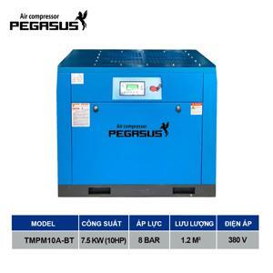 Máy nén khí trục vít PEGASUS TMPM10A