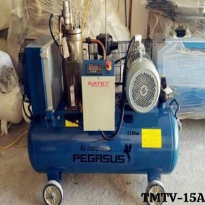 Máy nén khí trục vít Pegasus TMTV-10A - 7.5KW