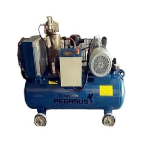 Máy nén khí trục vít Pegasus TMTV-15A