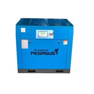 Máy nén khí trục vít PEGASUS TMPM10A