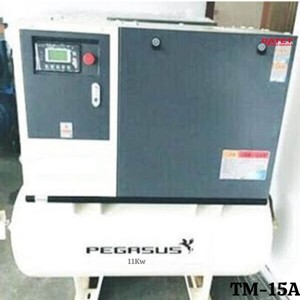 Máy nén khí trục vít Pegasus TM-15A