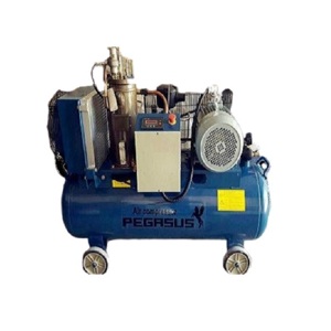 Máy nén khí trục vít Pegasus TMTV-10A - 7.5KW