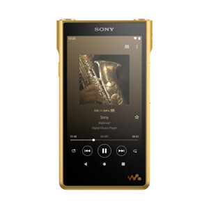 Máy nghe nhạc Sony Walkman NW-WM1ZM2