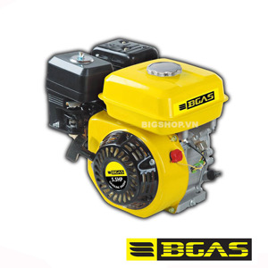 Máy nổ Bgas BM2055 (5.5HP)