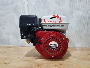 Máy nổ Bgas BM2065 (BGA65RED) 6.5HP