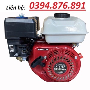 Máy nổ động cơ xăng Yokohama 7.5HP GX230-CH