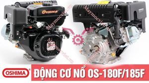 Máy nổ Loncin 185F-D - 13HP